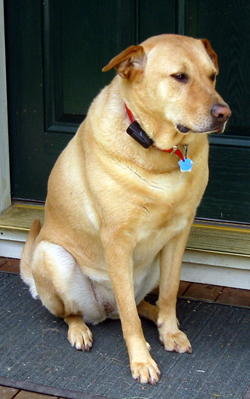 Maggie