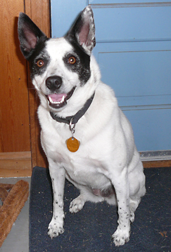 Sophie