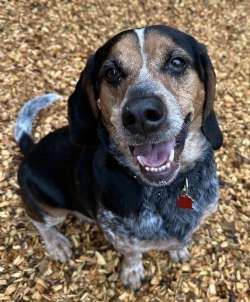 Waylon
