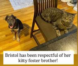 Bristol