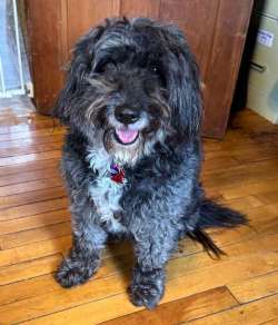 Maybelle