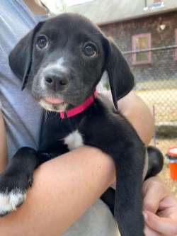 MARLEY