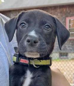 MURPHY