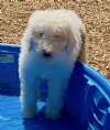 Casper
