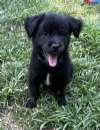 JAX