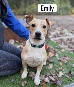 Emily