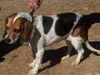 Maggie