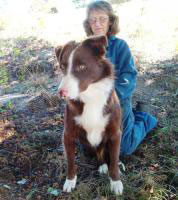 Toby