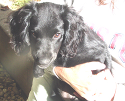 Wilma