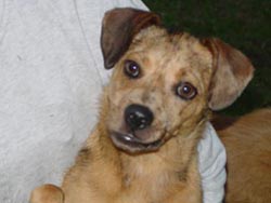 Winnie
