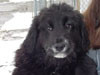 April