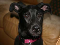 Tonya