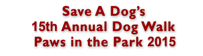 Paws in the Park